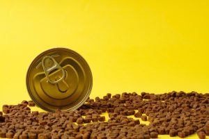 Budget vs. Premium: Is Bonacibo Cat Food a Good Long-Term Option?