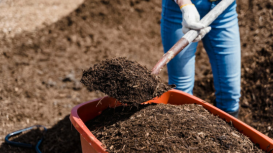Choosing a Reliable Mulch Delivery Service: Key Factors to Consider