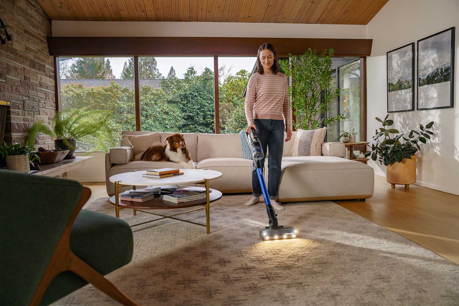 Eliminating Dust Mites and Biological Micro-Allergens: Premier Carpet Cleaning Service in Grosse Pointe Woods, MI